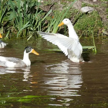 Alojamento de Acomodação e Pequeno-almoço Gites à La Ferme à 5 Minutes Du Lac De Gerardmer. 3*