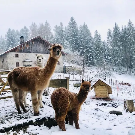 Gites A La Ferme A 5 Minutes Du Lac De Gerardmer. Sapois (Vosges)
