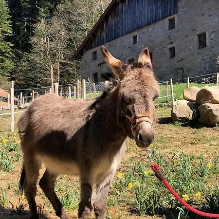 Gites à La Ferme à 5 Minutes Du Lac De Gerardmer. Sapois (Vosges)