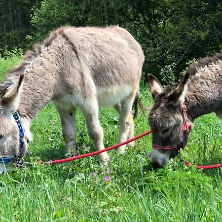 Alojamento de Acomodação e Pequeno-almoço Gites à La Ferme à 5 Minutes Du Lac De Gerardmer. 3*